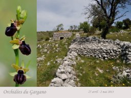 Gargano-1_00001